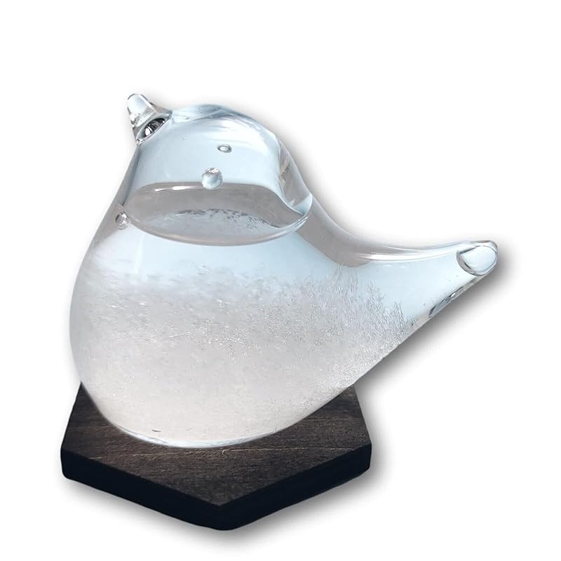 полноцветный штормовой стакан Прогноз погоды бутылка птица штормовой стакан деревянная основа включена птица птица